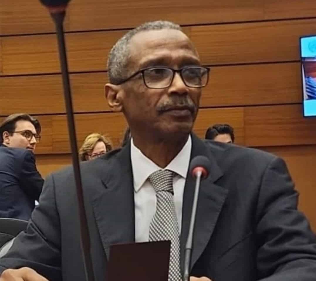 السفير حسن حامد، مندوب السودان الدائم لدى مكتب الأمم المتحدة